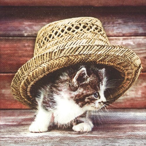 Serviette papier petit chat sous le chapeau de paille
