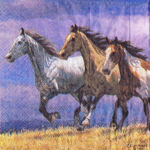 Petite serviette 25x25 chevaux sauvages au galop dans la plaine