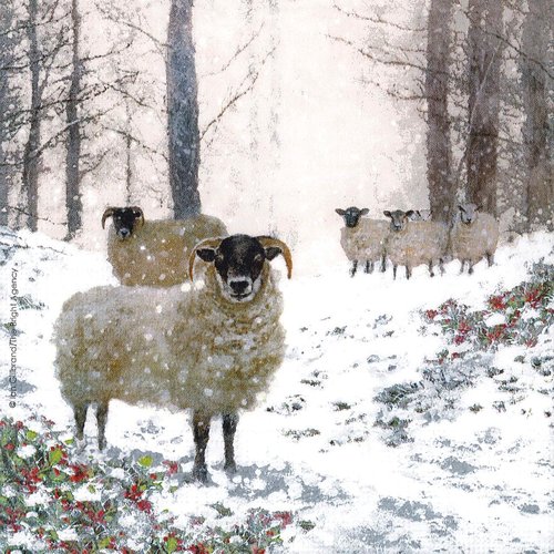 Serviette papier mouton des highland sous la neige