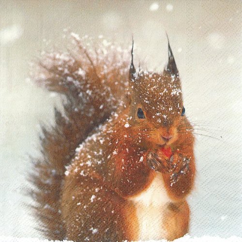 Serviette papier ecureuil et sa noisette dans la neige