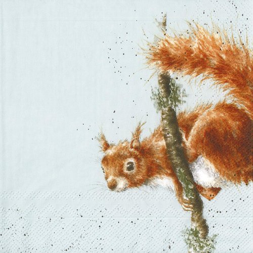 Serviette papier ecureuil acrobate