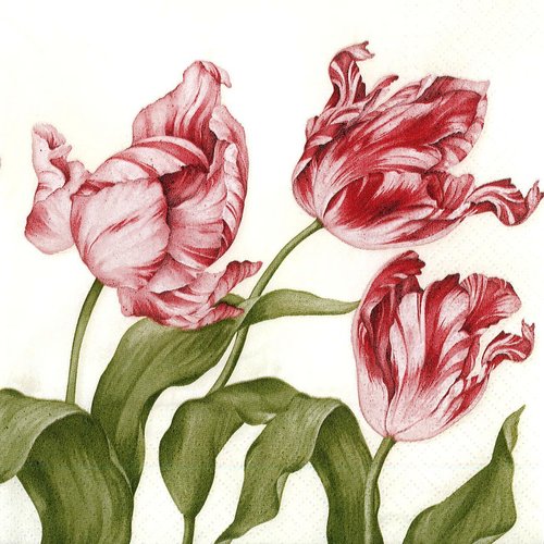 Serviette papier tulipe rose dans le vent