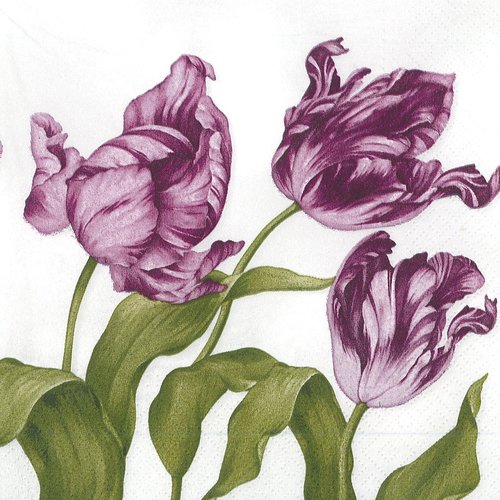 Serviette papier tulipe violette dans le vent