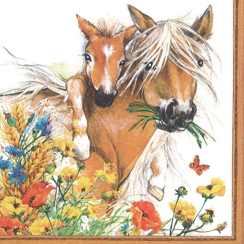 Serviette papier cheval et son poulain dans les champs fleuris