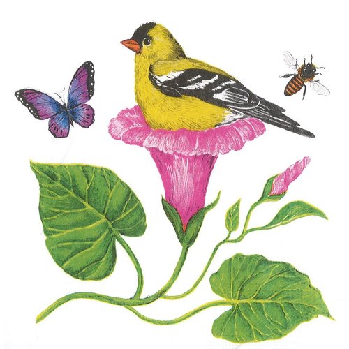 Serviette papier oiseau fleur de liseron papillon abeille