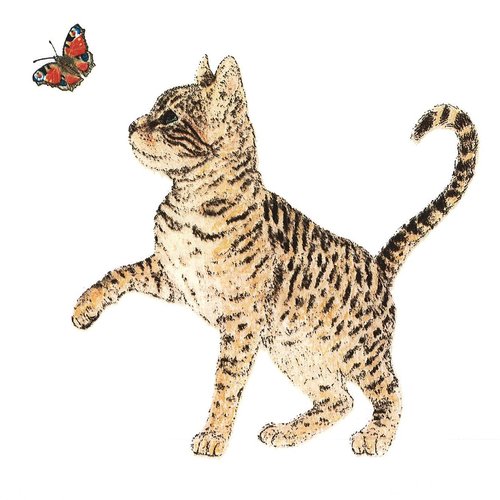 Serviette papier petit chat et le papillon