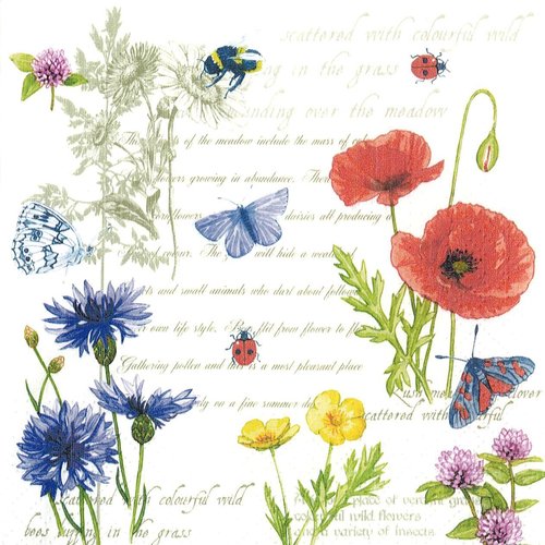 Serviette papier planche fleurs botaniques coquelicot