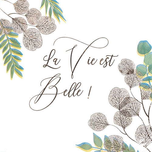 Serviette papier la vie est belle
