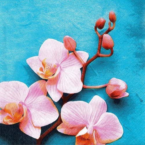 Serviette papier orchidée rose