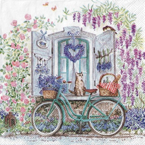 Serviette papier vélo devant fenêtre fleurie chat