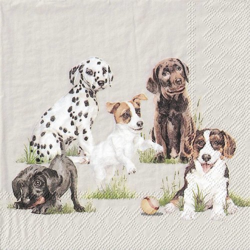 Serviette papier chiots jouant à la balle