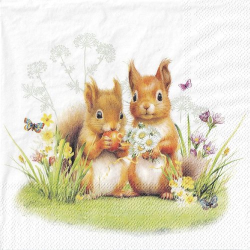 Serviette papier petits écureuils