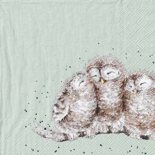 Serviette papier famille hibou chouette
