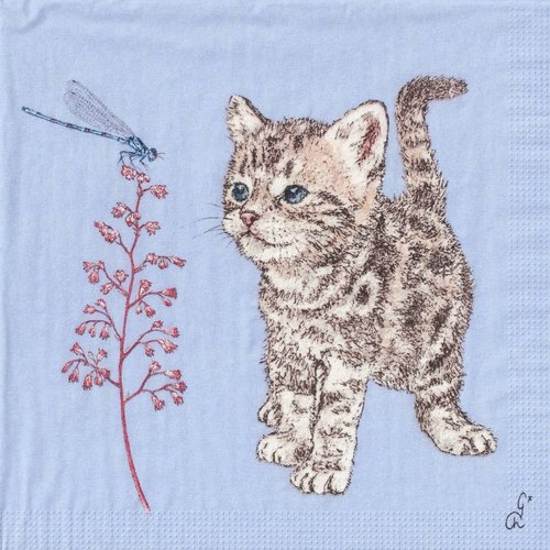 Serviette papier petit chat et la libellule