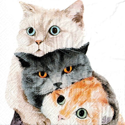 Serviette papier chats perchés