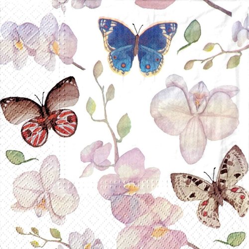 Serviette papier tableau de papillons