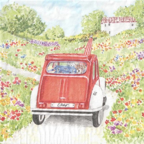 Serviette papier la 2 cv aux animaux