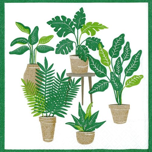 Serviette papier plantes vertes