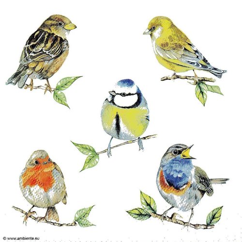 Serviette papier tableau oiseau mésange rouge gorge