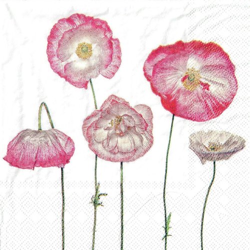 Serviette papier jolis coquelicots