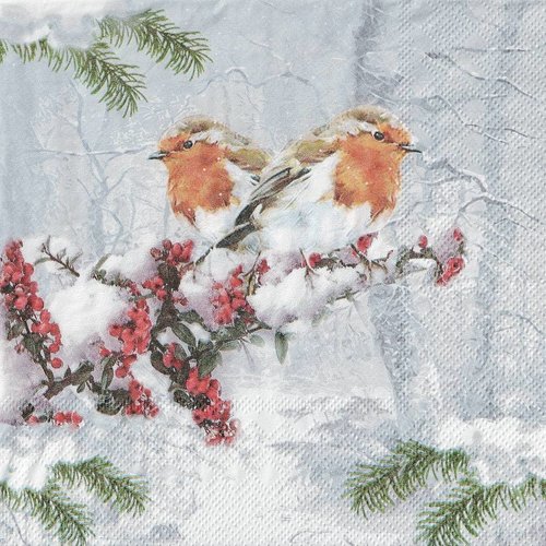 Serviette papier rouge gorge en hiver