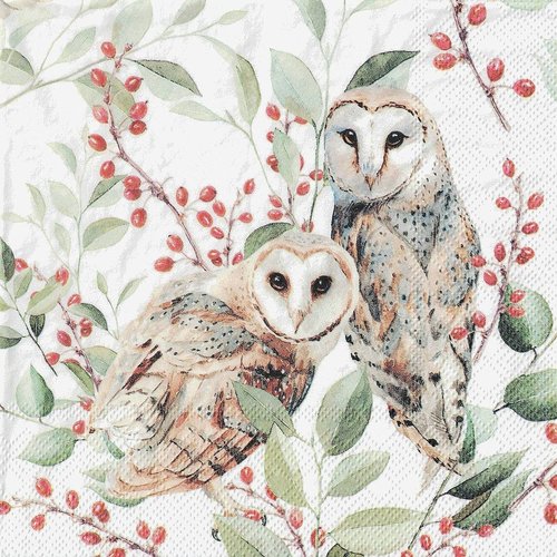 Serviette papier couple de chouette