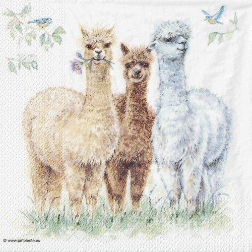 Serviette papier alpaga