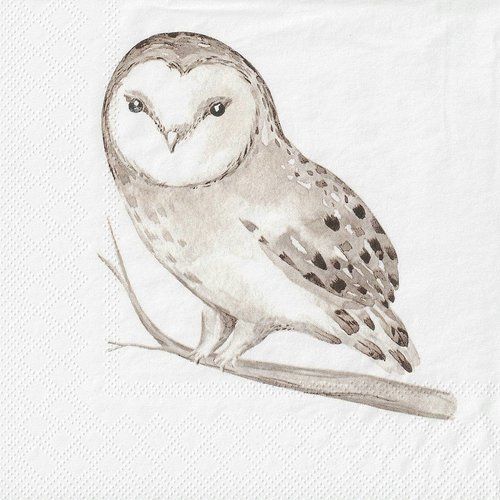 Serviette papier petite chouette effraie
