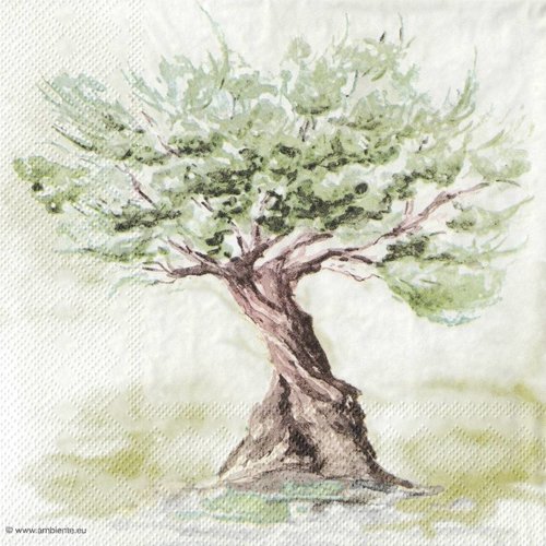 Serviette papier olivier battu par le vent