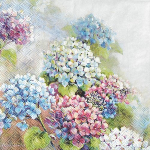 Serviette papier hortensia pastel
