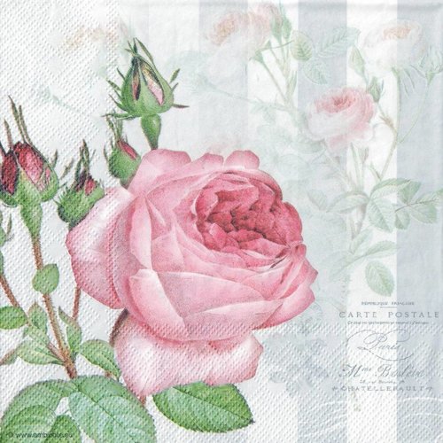 Serviette papier rose collection