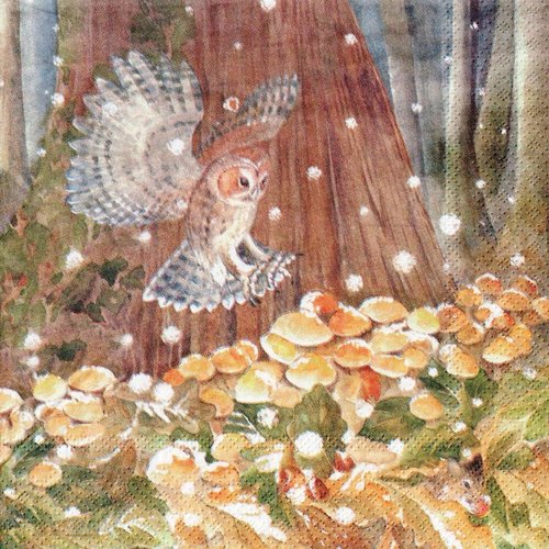 Serviette papier chouette et écureuil