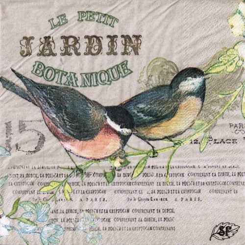 Serviette papier oiseau rouge-gorge et mésange