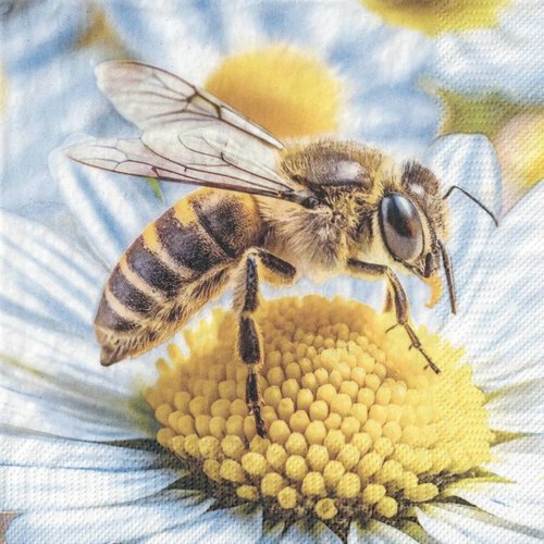 Serviette papier abeille sur le nectar des fleurs