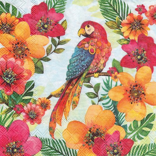 Serviette le perroquet dans les hibiscus aux tropiques