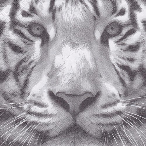 Serviette rare regard du tigre blanc