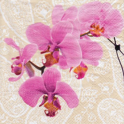 Serviette branche d'orchidée sur fond imprimé beige