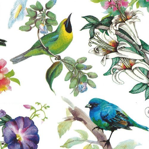 Serviette 33x33 mdw oiseau colibri dans fleurs exotiques