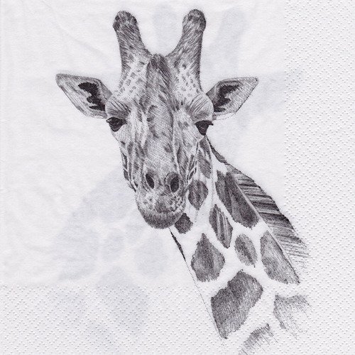 Serviette madame la girafe esquisse au crayon