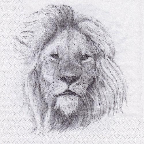 Serviette monsieur le roi lion esquisse au crayon