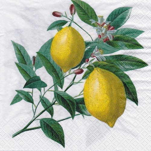 Serviette fleur et fruit citron