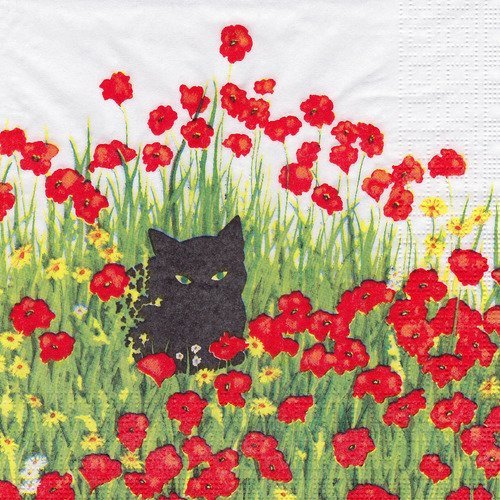 Serviette le chat noir dans le champs de coquelicot