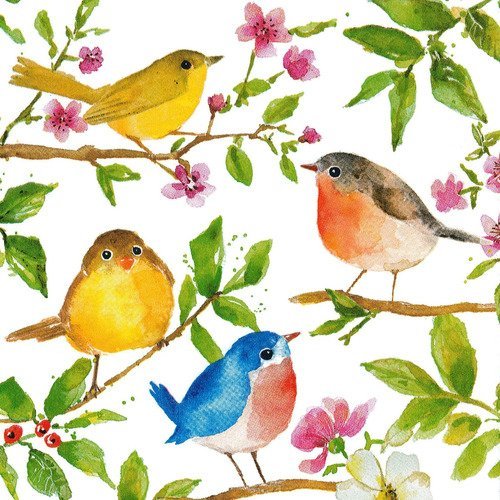 Serviette petits oiseaux multicolors au printemps