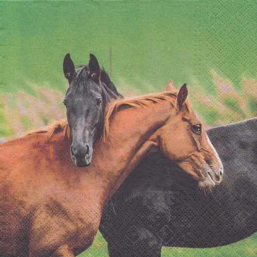 Serviette couple de chevaux 