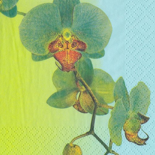 Petite serviette 25x25 guirlande d'orchidée