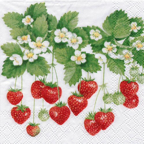 Petite serviette 25x25 fraise et fleurs de fraisier 