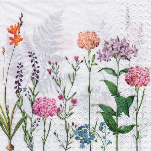 Petite serviette 25x25 fleur du jardin oeillet