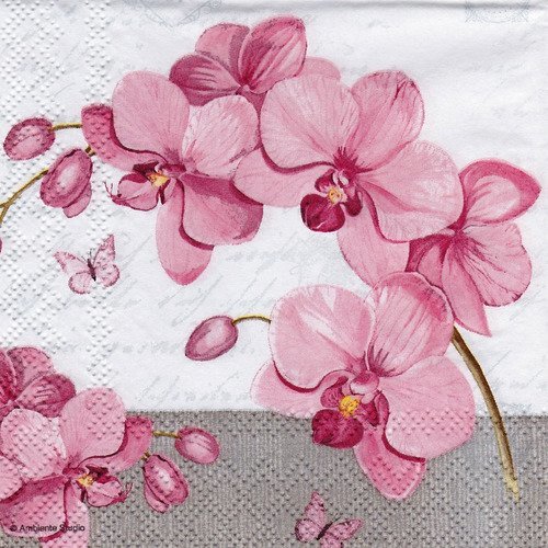 Petite serviette 25x25 branche orchidée rose fond de lettre