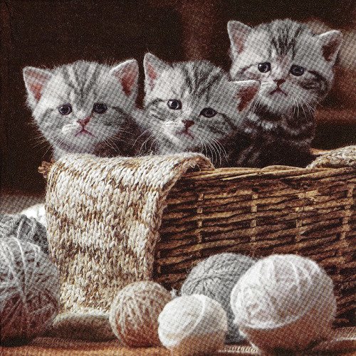 Serviette petit chat dans la corbeille de tricot laine pelote