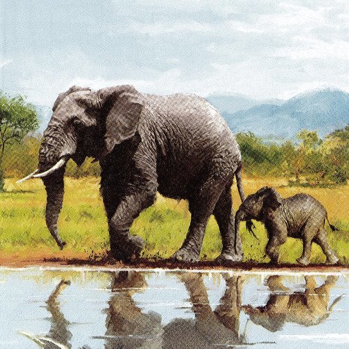 Serviette famille eléphant dans la brousse
